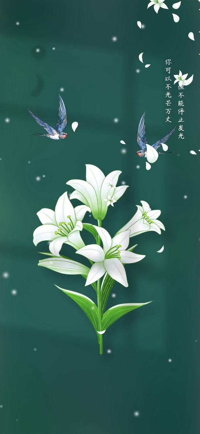 你不能停止发光(风景手机动态壁纸) - 风景手机壁纸下载 - 元气壁纸