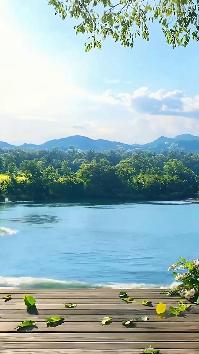 护眼绿景