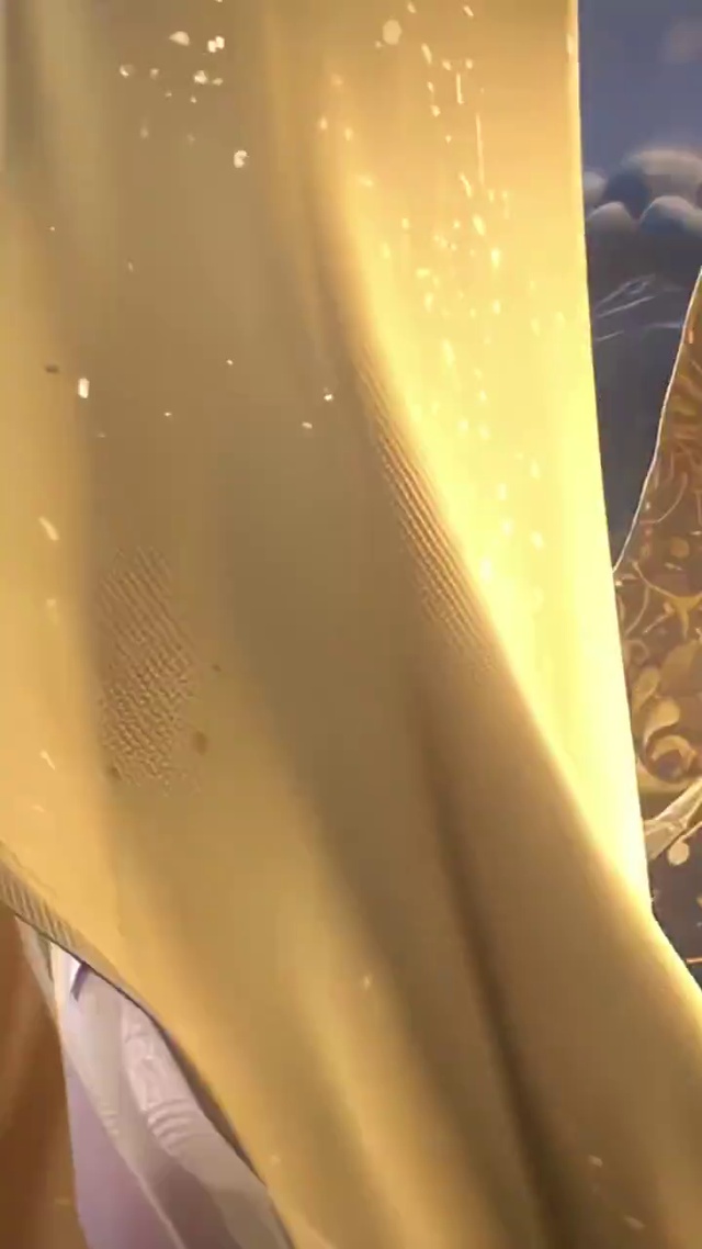 完美世界新女胖子