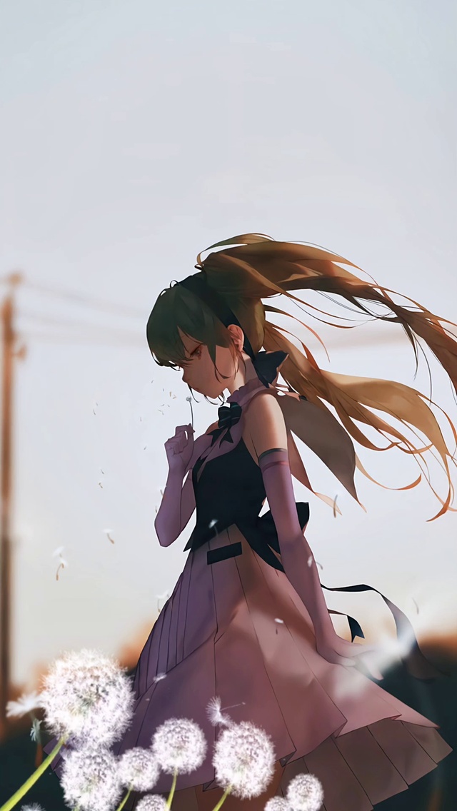 蒲公英随风飘(初音)