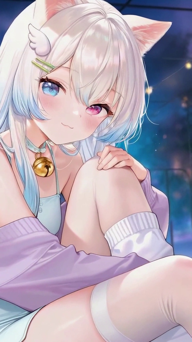 银发异瞳猫耳二次元美少女