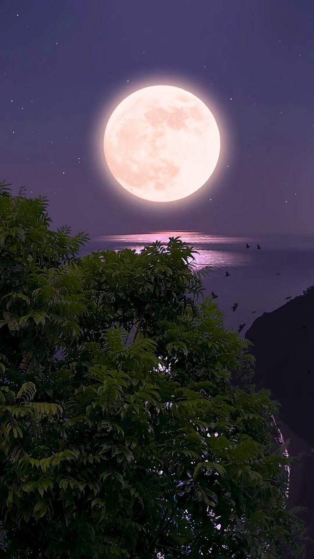 初升的太阳朝气蓬勃