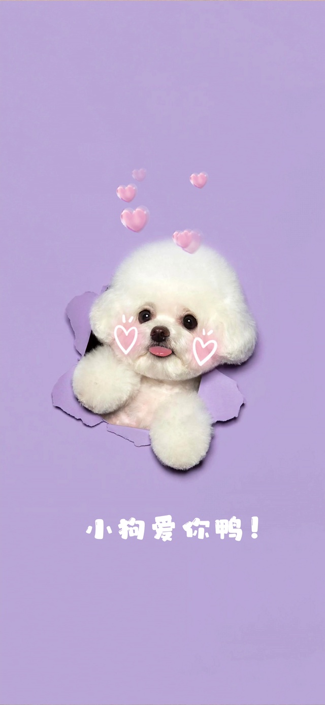 小狗爱你！