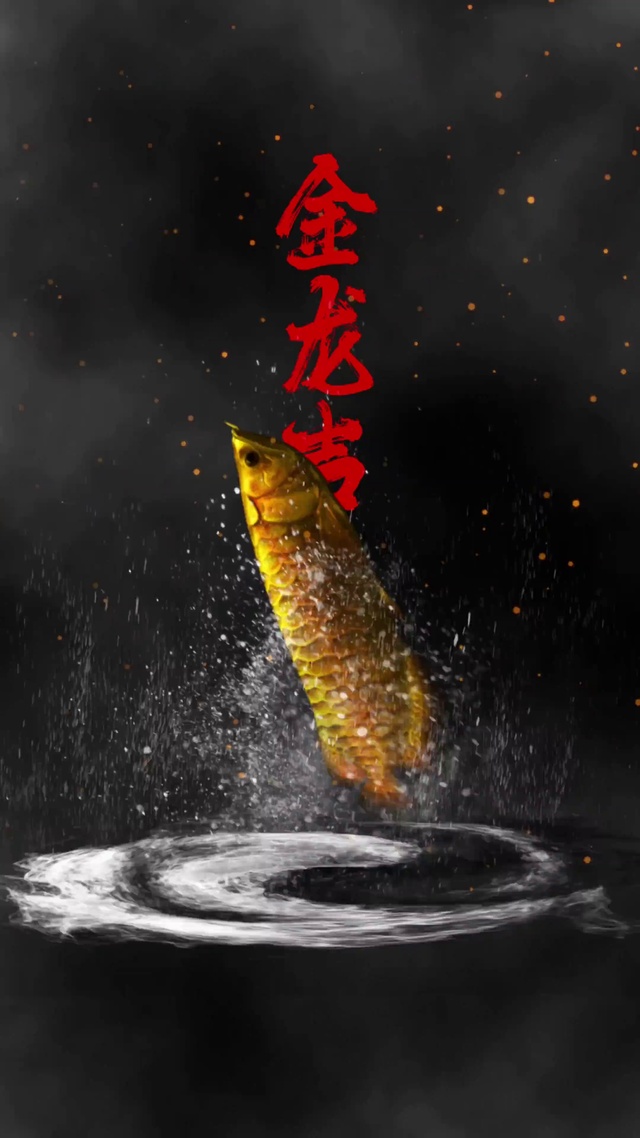 金龙壁纸