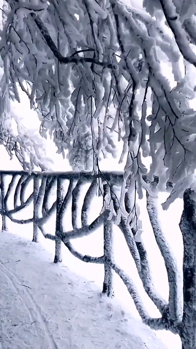 四季风景，永远在路上