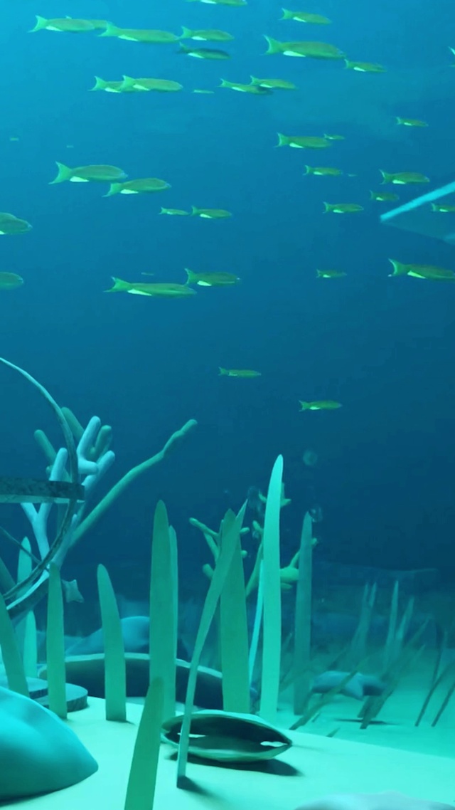 在蓝色海底遨游的鱼群