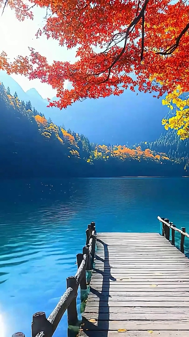 秋季树木