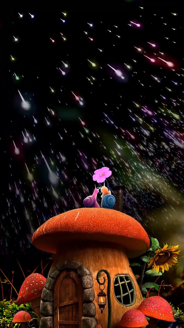 陪你去看流星雨