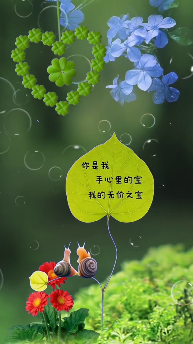 你是我手心里的宝