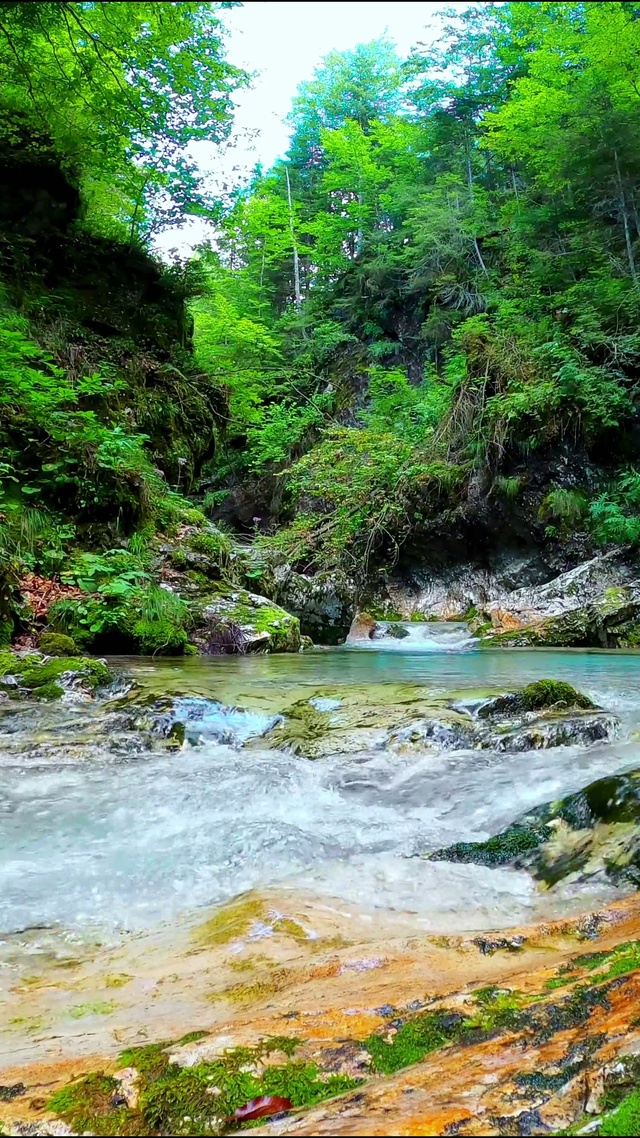 唯美治愈溪流 4K