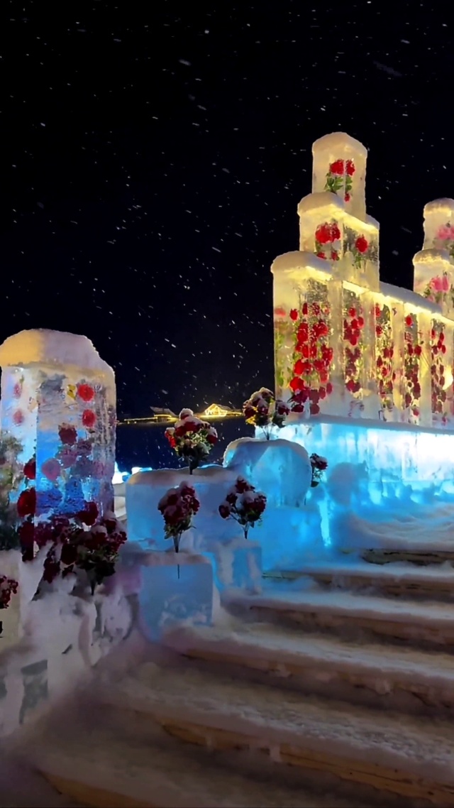 雪中冰玫瑰