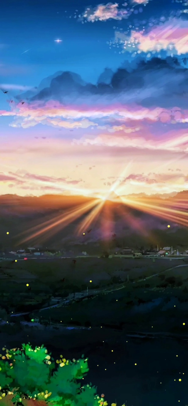 山间林下(随时间变化)