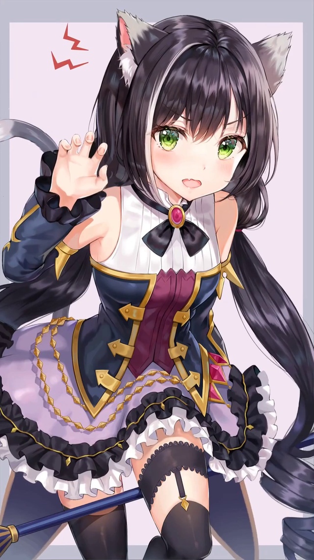 喵喵喵求领养（4k凯露）