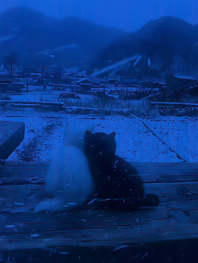 雪中依靠