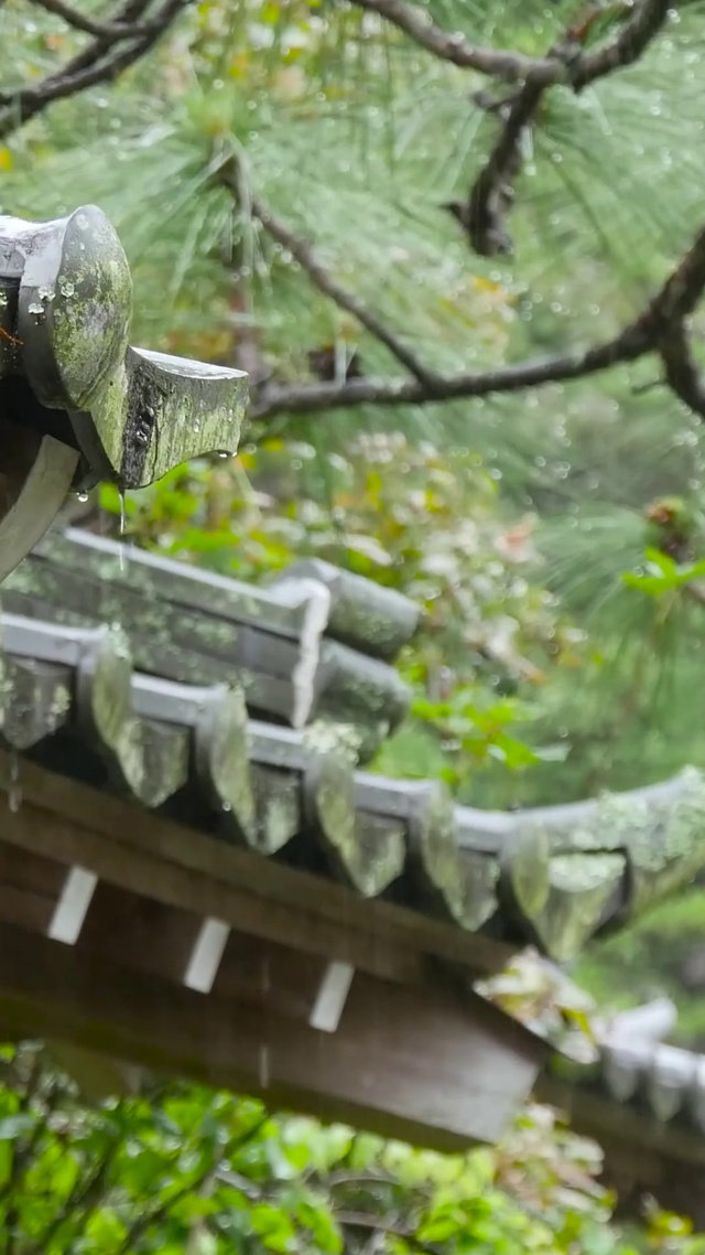 屋檐下的雨