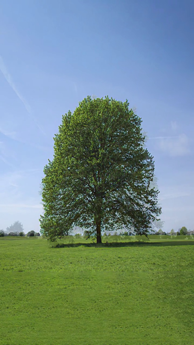四季交替，如人生四季，各有各的风景，春有百花，秋有月，夏有清风，冬有雪。人生有 顺 逆 悲 喜…
