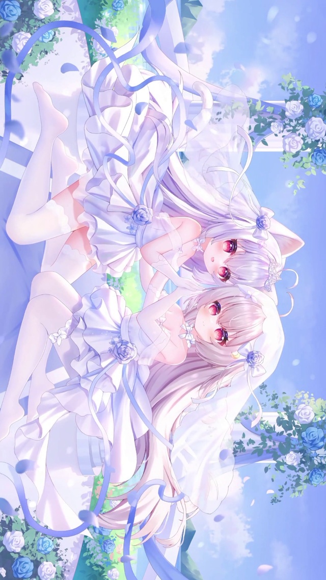 双子花开