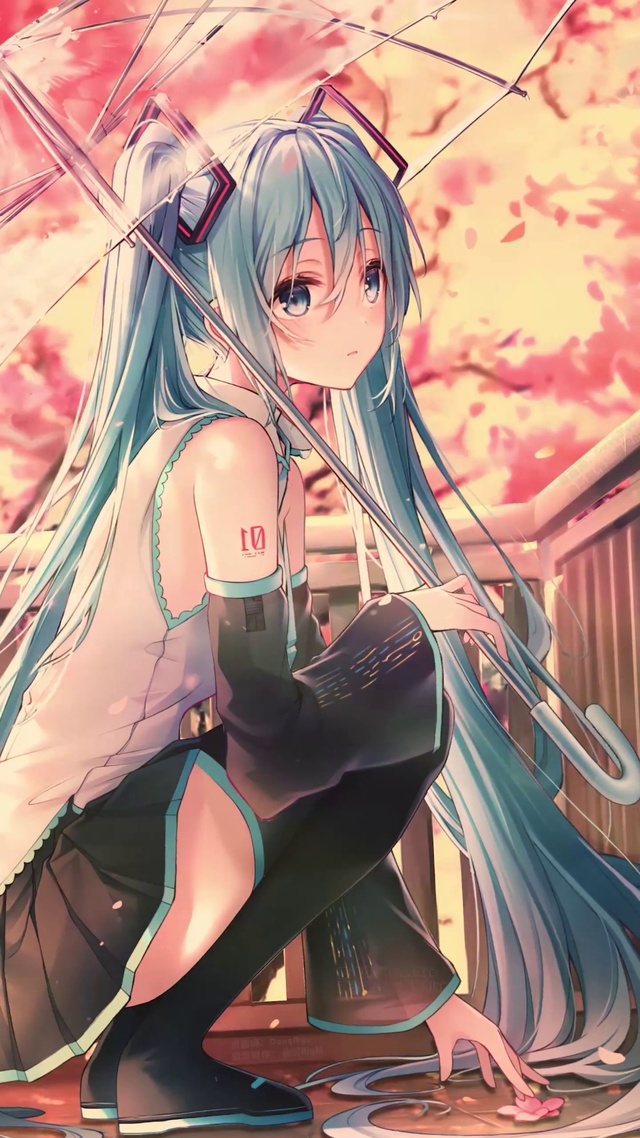 【黄昏】初音未来 樱之雨