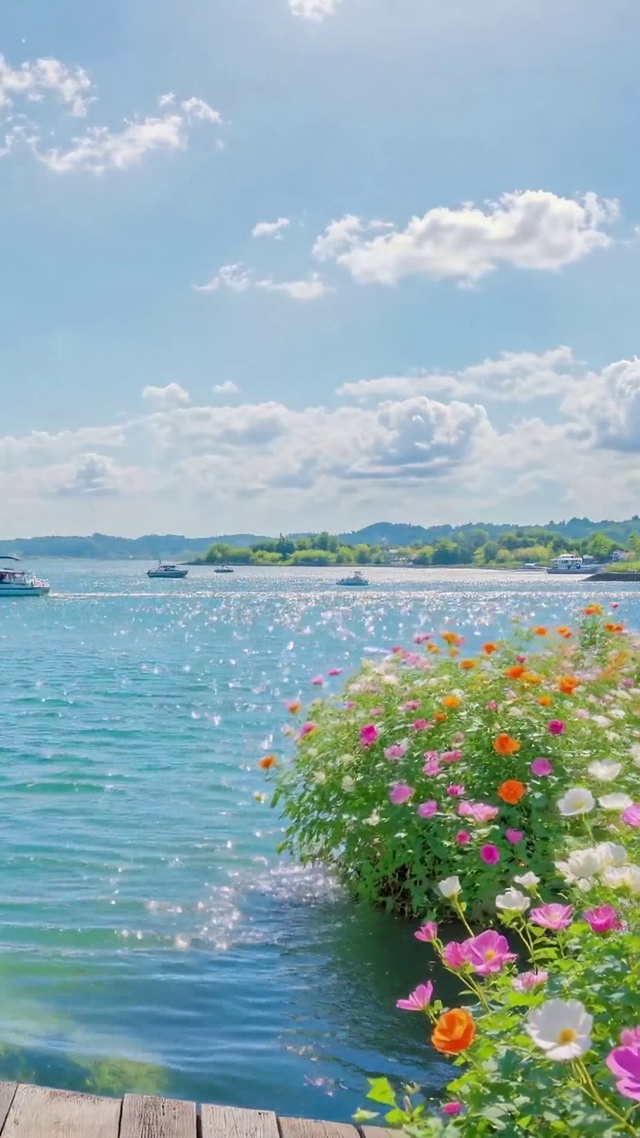 晴日湖畔花海唯美风景