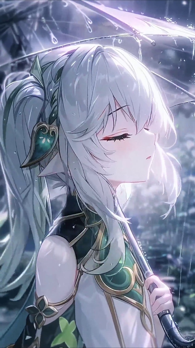 纳西妲丨森间雨憩丨