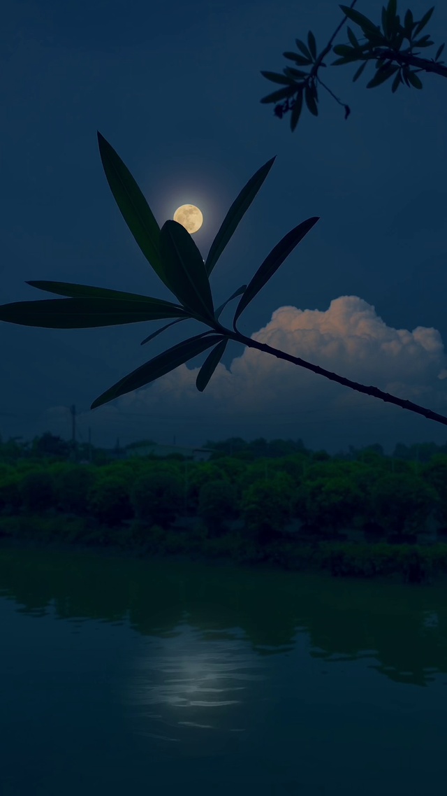 4k超清治愈唯美