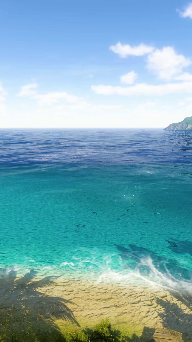 大海沙滩椰树蓝天