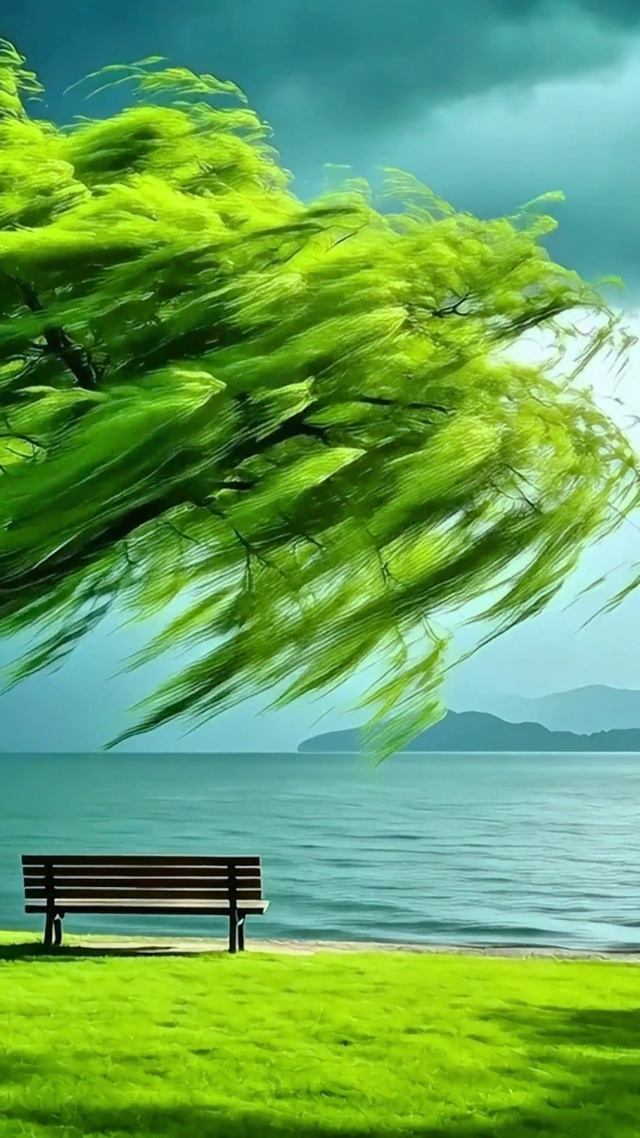 风的样子4K