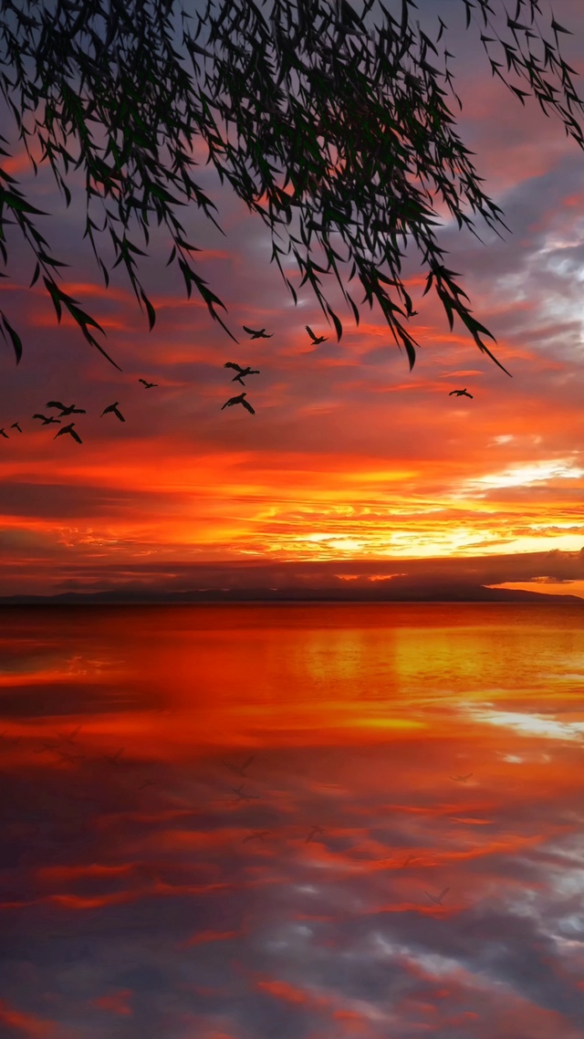 终于知道了什么才是落霞与孤鹜齐飞