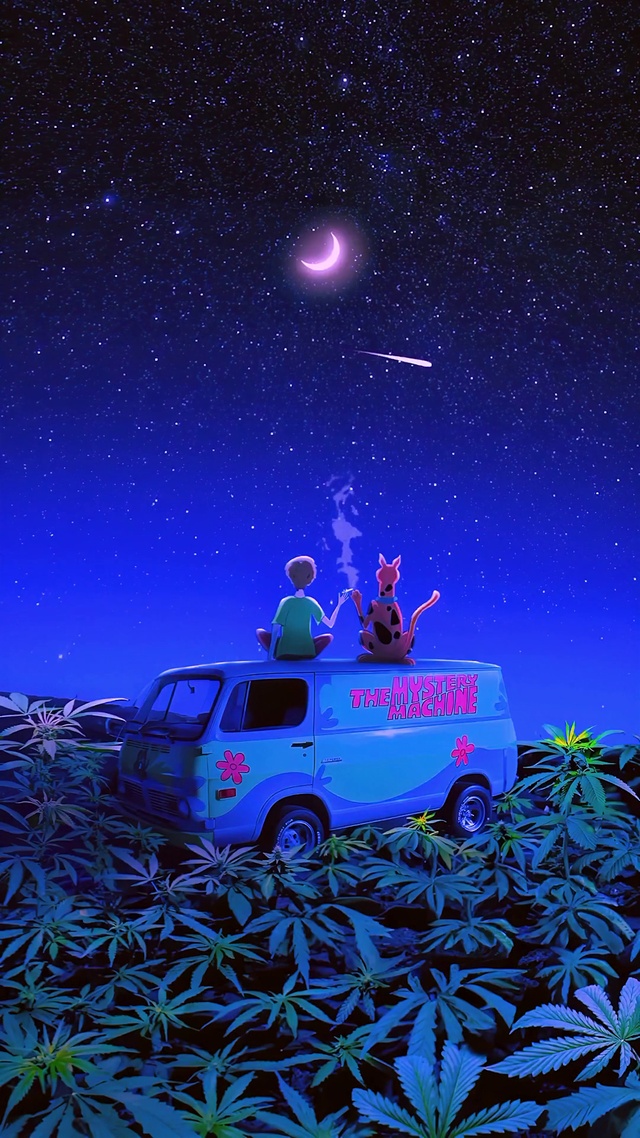 仰望