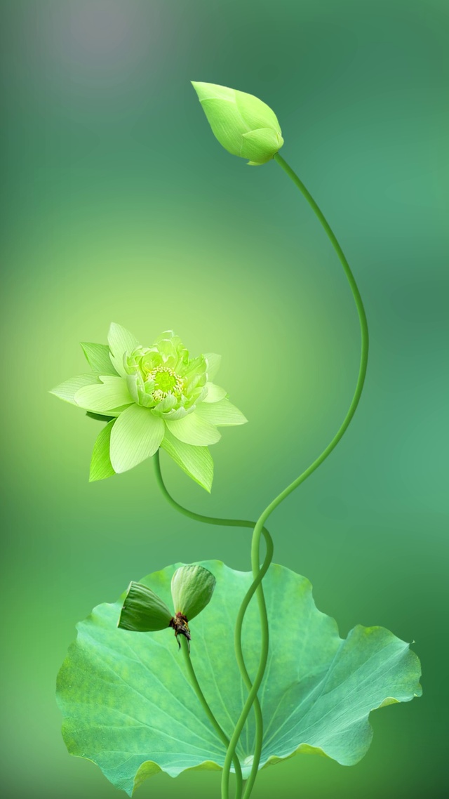希望你明天好运，今天丢掉烦恼。