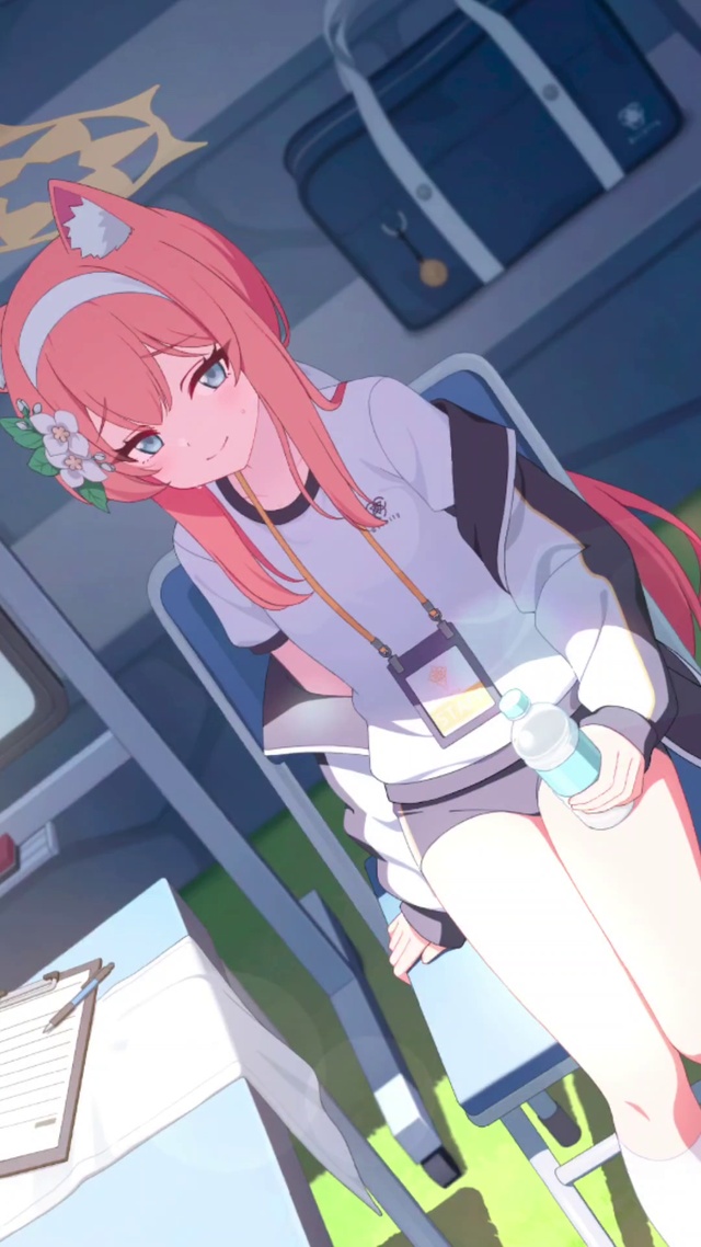 蔚蓝档案伊落玛丽（体育服）live2d横屏高清化纯享版