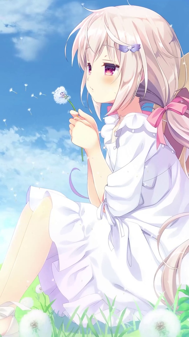 蒲公英的约定6