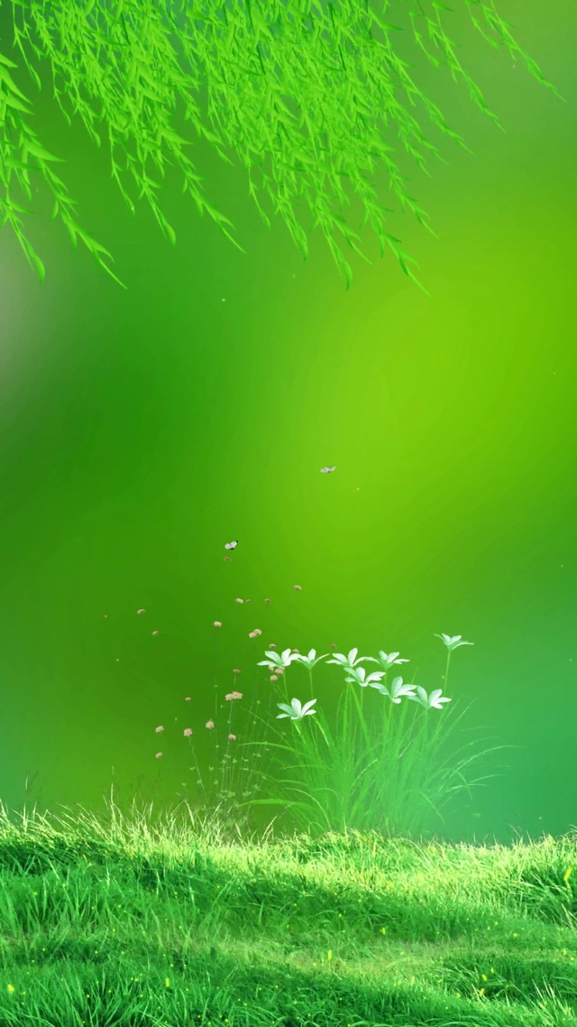 清新护眼绿｜野花🌸