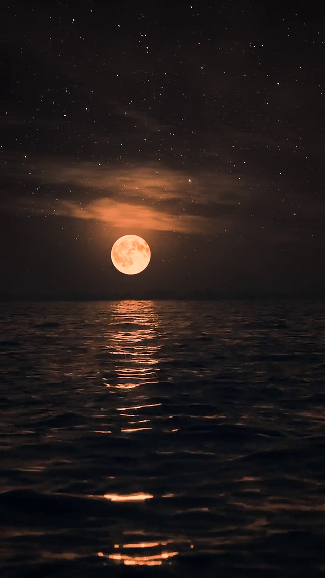 海上生明月