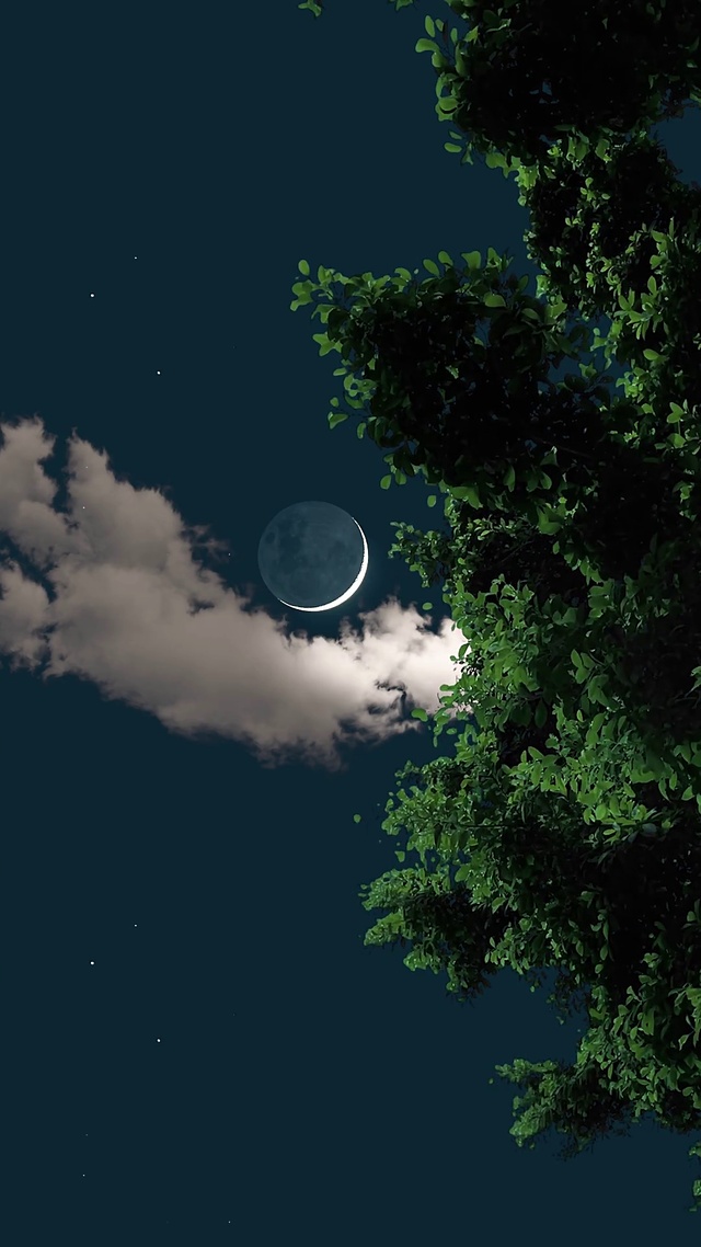 治愈系夜景高清壁纸