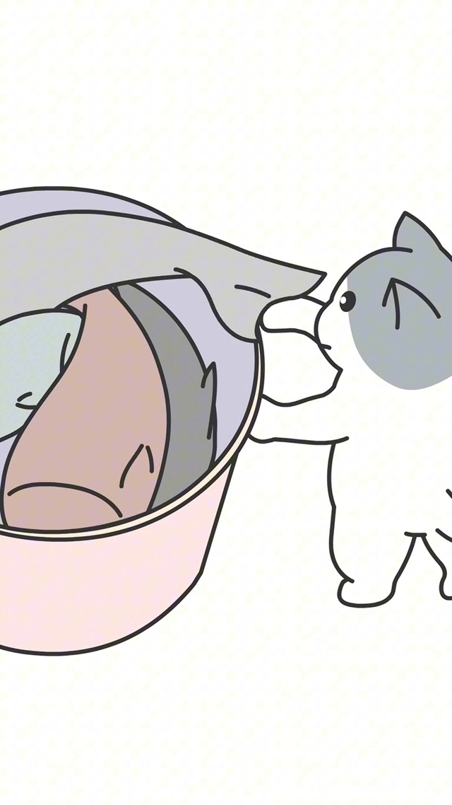“猫吃鱼”
