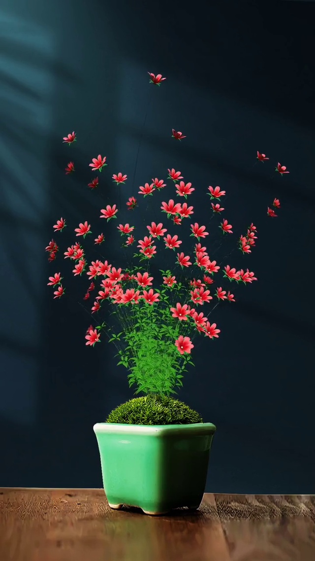 花开