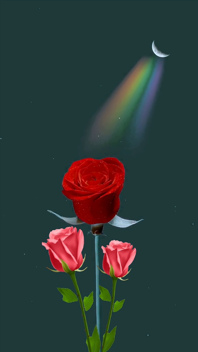 玫瑰花