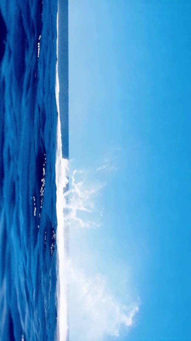 蓝海跃鲸 唯美海洋风景