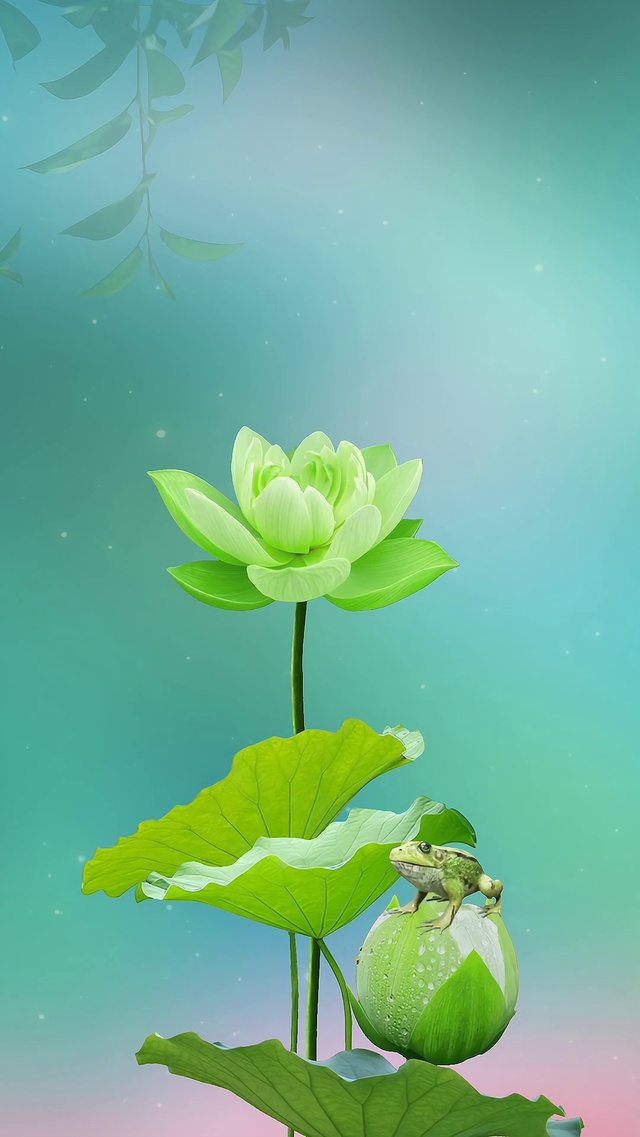 动态荷花