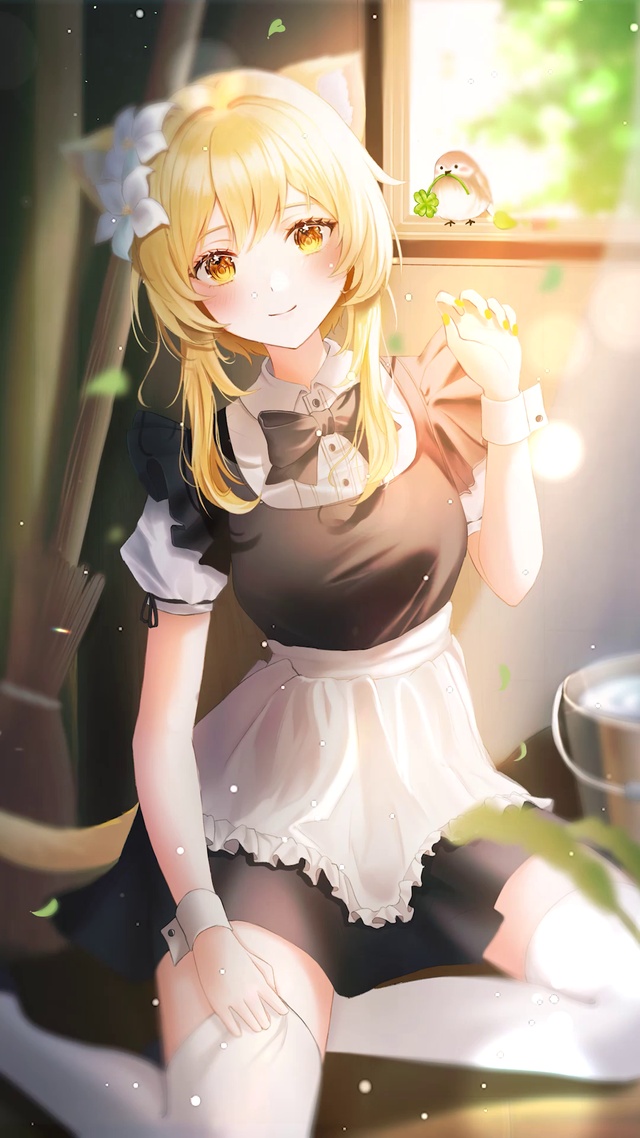 唯美清纯阳光猫女仆