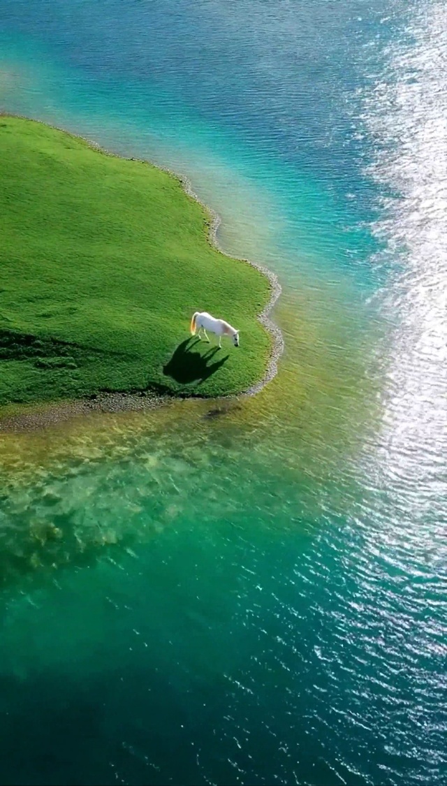 梦海