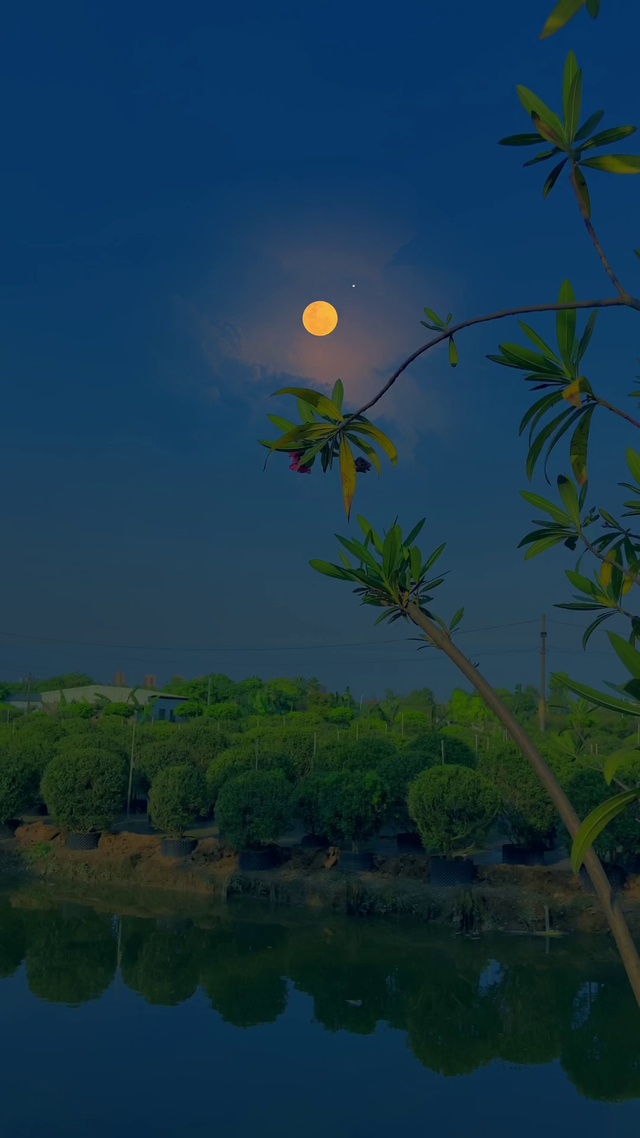 傍晚(风景手机动态壁纸) - 风景手机壁纸下载 - 元气壁纸