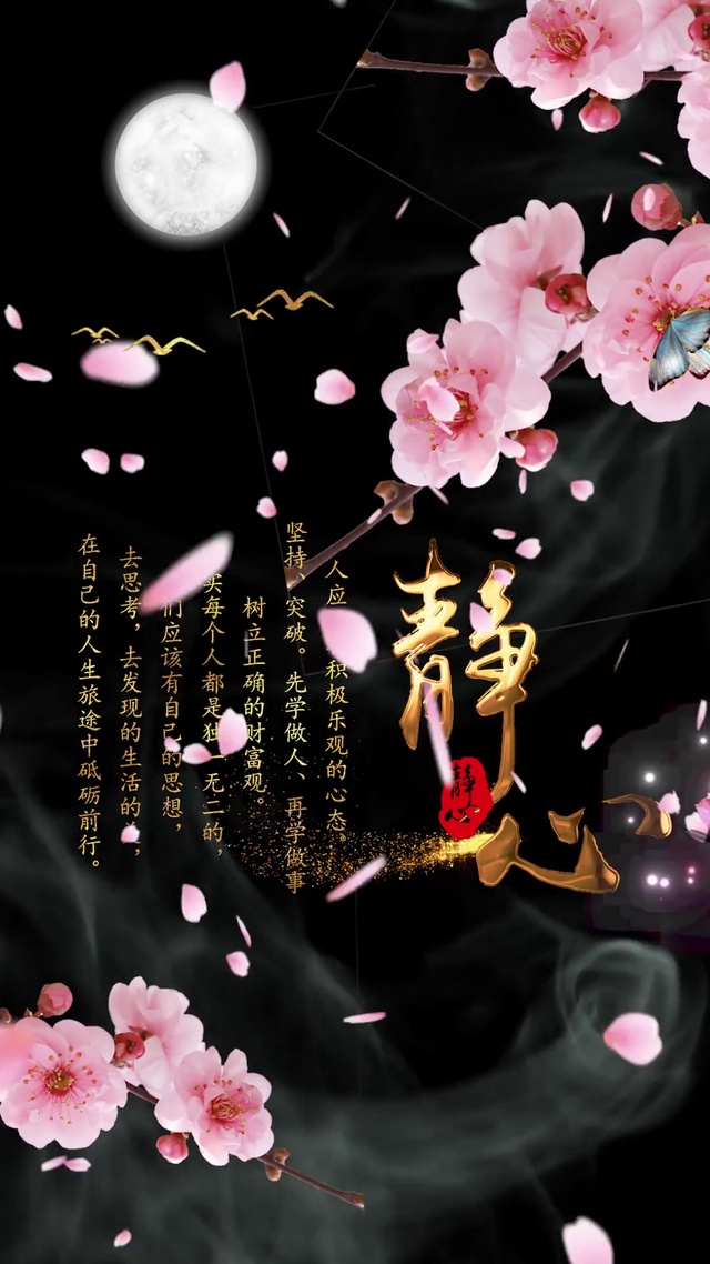 静心禅意