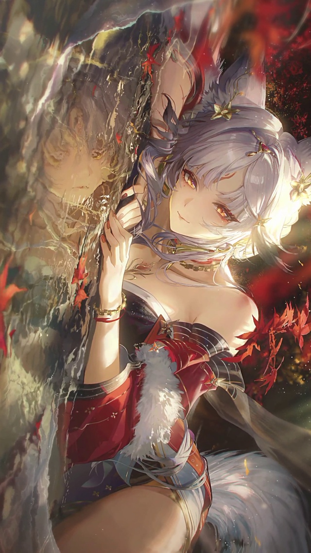 心月狐4