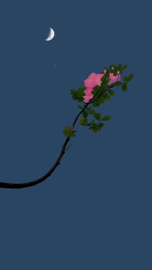 那些你很冒险的梦