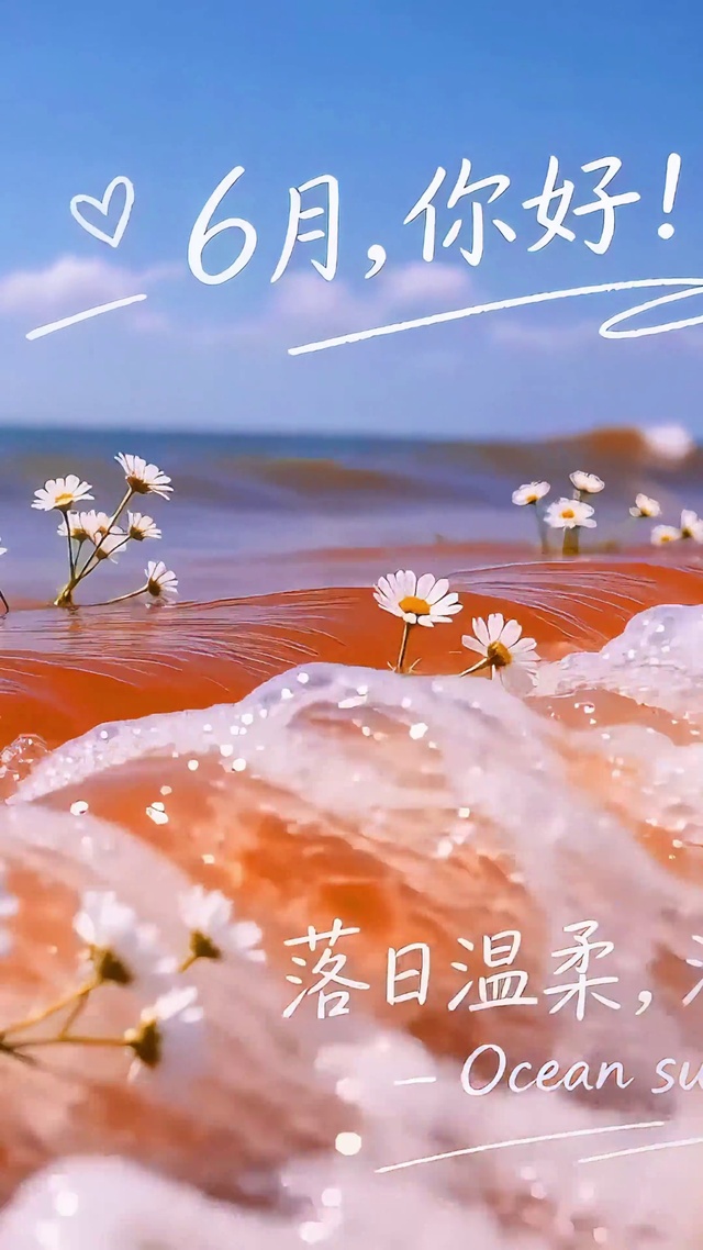6月的橘子海