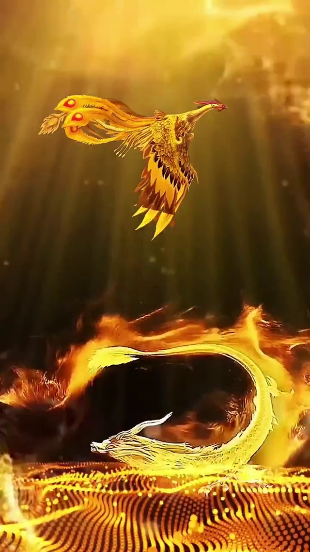 涅槃重生 见凤凰好运