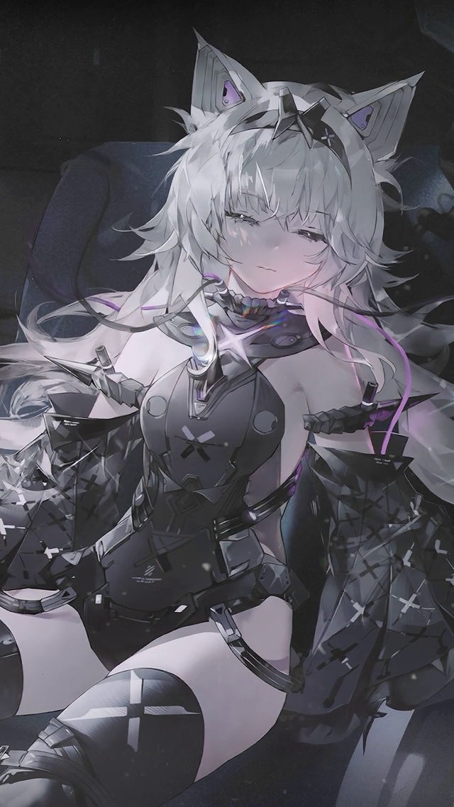 战双帕弥什猫耳21号