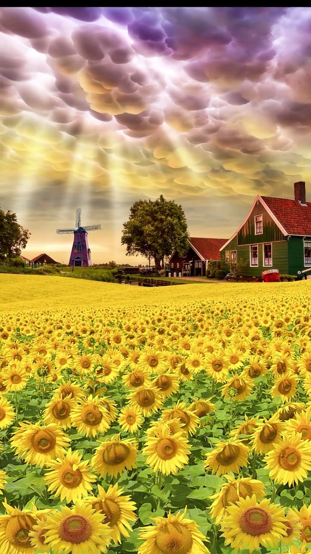 入目无他人四下皆是你